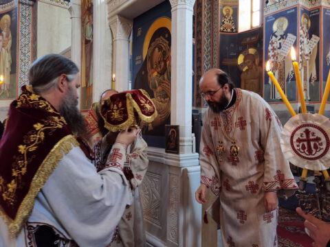 IMG_20231217_084209_resize