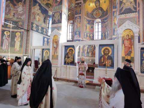 IMG_20231217_092251_resize