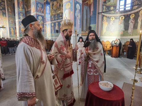 IMG_20231217_092418_resize