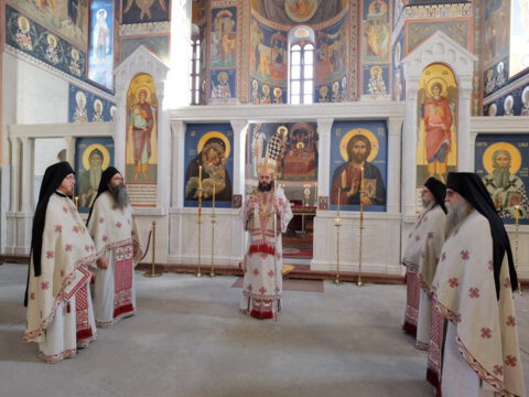 IMG_20231217_092547_resize