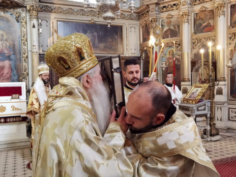 IMG_20231219_091008_resize