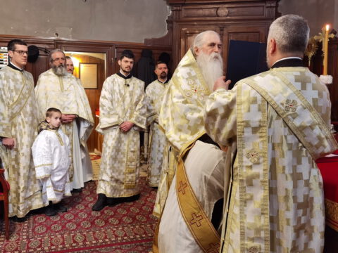 IMG_20231219_101334_resize