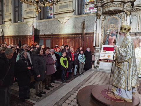 IMG_20231219_111852_resize