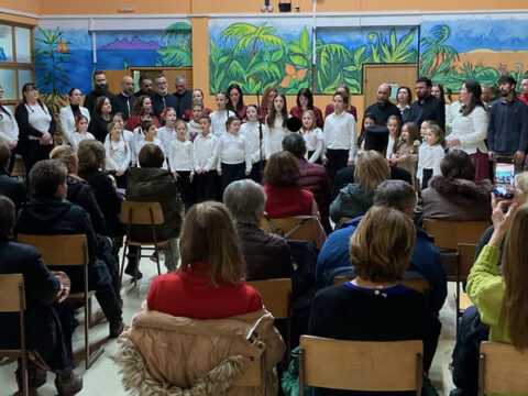 IMG_3350_resize_resize