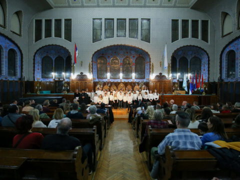 IMG_6126_resize_resize_resize