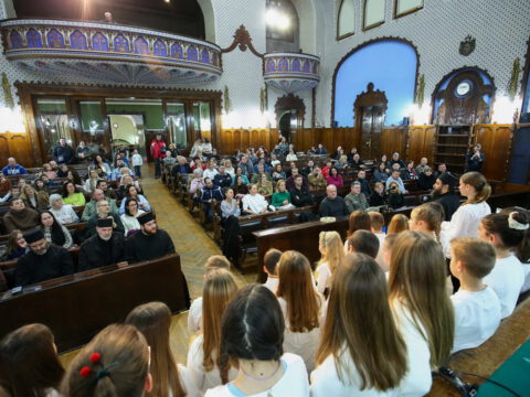 IMG_6129_resize_resize_resize