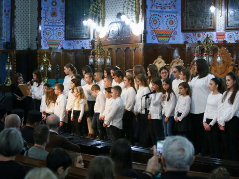 IMG_6169_resize_resize_resize