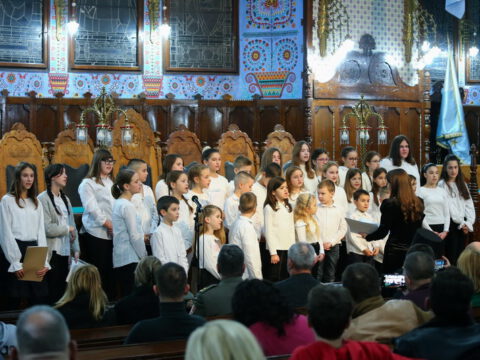 IMG_6201_resize_resize_resize