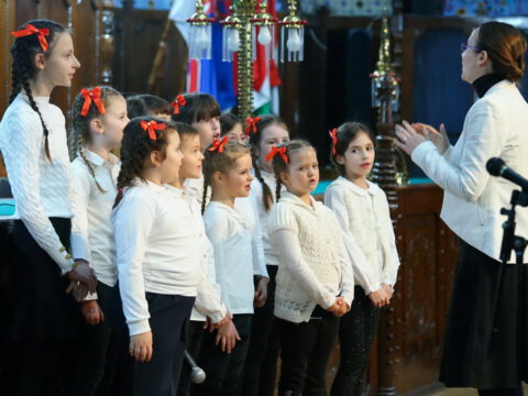 IMG_6213_resize_resize_resize