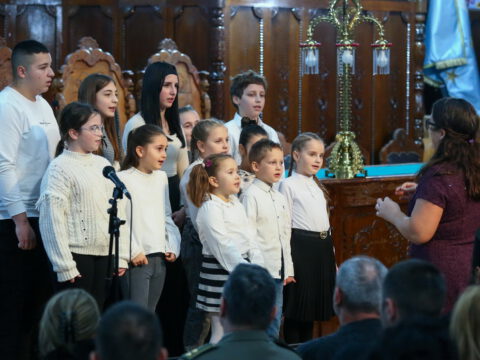 IMG_6225_resize_resize_resize