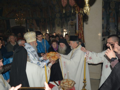 ММарковић-100_resize