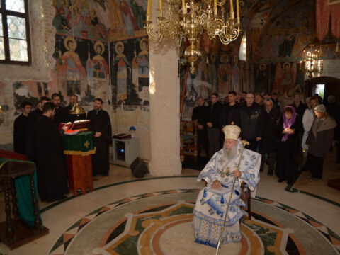 ММарковић-17_resize