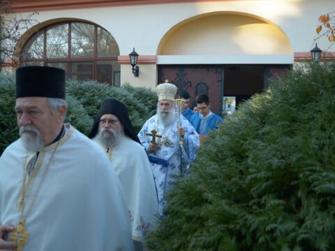 ММарковић-5_resize