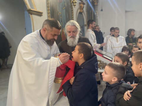 image_50382593_resize