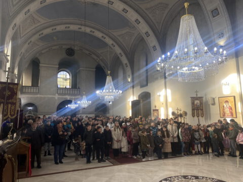 image_50440705_resize