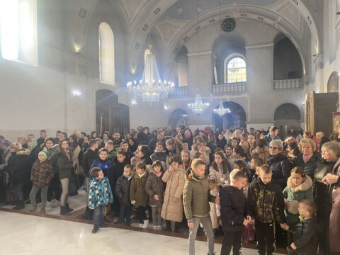 image_50445313_resize