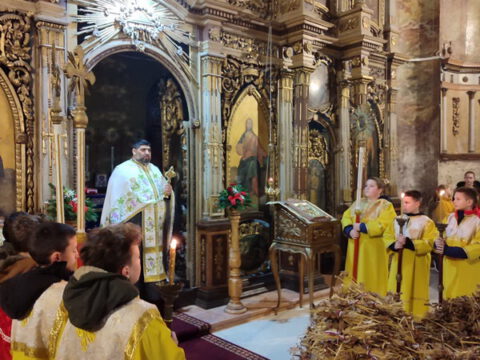 1704659592204_resize