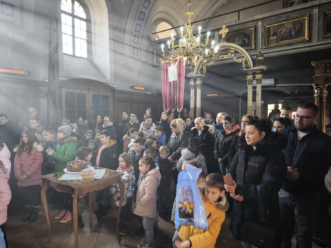 1706394183689_resize_resize