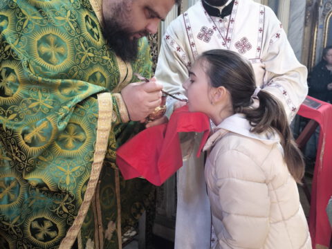 1706394183705_resize_resize