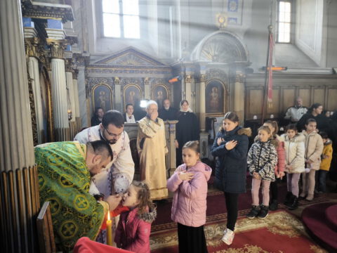 1706394183711_resize_resize