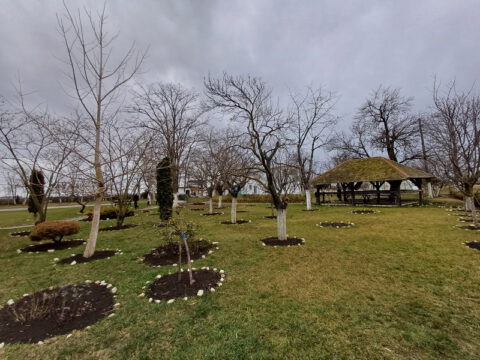 20240103_131349_resize