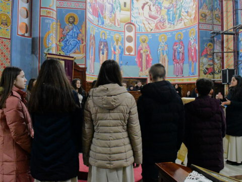 DSC_4594~2_resize