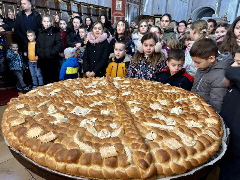 IMG-01aef869d85cd73e547494d6b027e9d4-V_resize