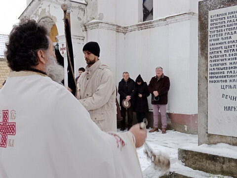 IMG-0985ac63b153f6de94275753e0503f2d-V_resize