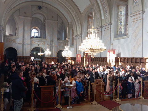 IMG-0fd39c528fda5805d3a4661227e5dc19-V_resize