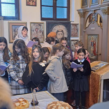 IMG-210907b9bcac2ab1665c2e2539472ca7-V_resize