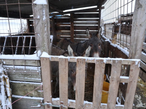IMG-282306175a7948b388cee091f0b953d2-V_resize