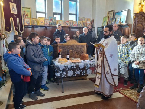 IMG-2a8ea2a3561137a39d9f6afefcfa68b7-V_resize