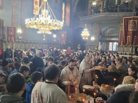 IMG-4a7f20547034575d8188f6171d8b9811-V_resize