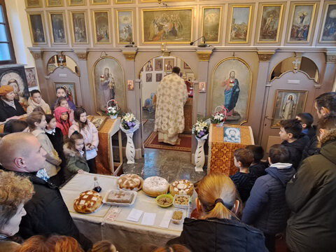 IMG-504731bb455c255a21f652377d748e71-V_resize