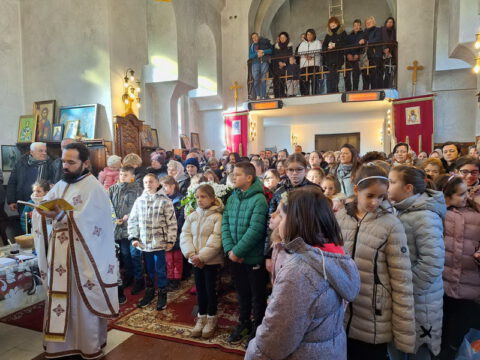 IMG-559650b09e24465115d8f231ea33cb1a-V_resize