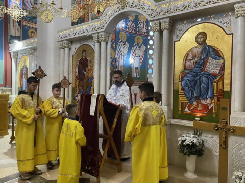 IMG-5a77a07a737f840512d123f6dd88c574-V_resize