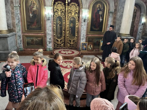 IMG-5bed22959cef1104693bd8347a5b236b-V_resize