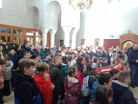 IMG-663abe87714ad4d61ade1e1735c62042-V_resize