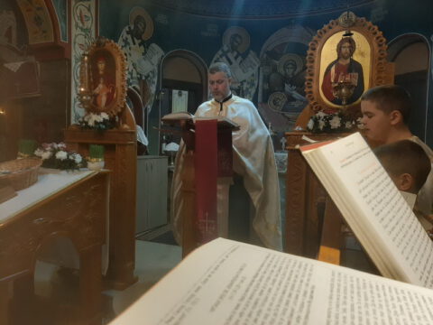 IMG-779d10ac270d8fd9837a4f3f16f844de-V_resize