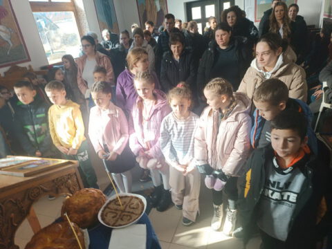 IMG-a9f0ebaa20aaa053e1aa1b7fcae3db8b-V_resize