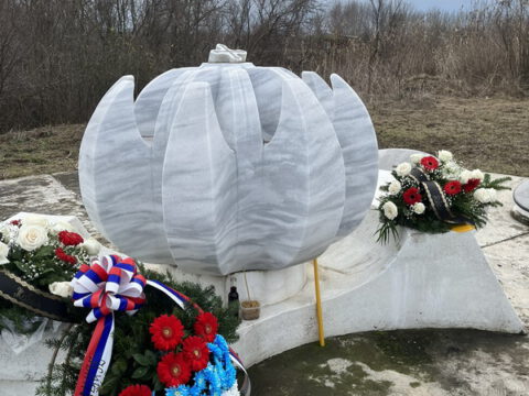 IMG-e9240528a8f21a3a07a7828986a5a8c5-V_resize