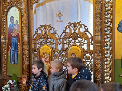 IMG-ef23fbb59987bc0396b4c6faee623763-V_resize