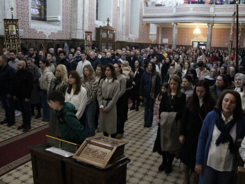 IMG_1750_resize_resize