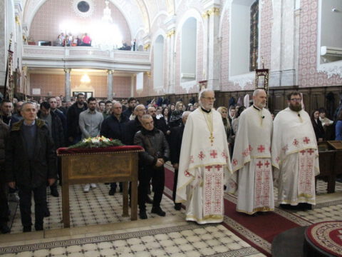 IMG_1755_resize_resize