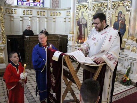 IMG_1773_resize_resize