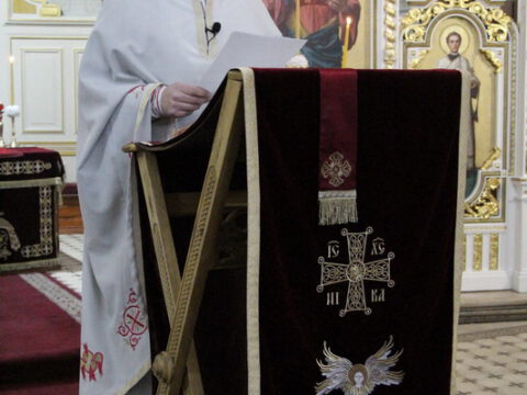 IMG_1780_resize_resize