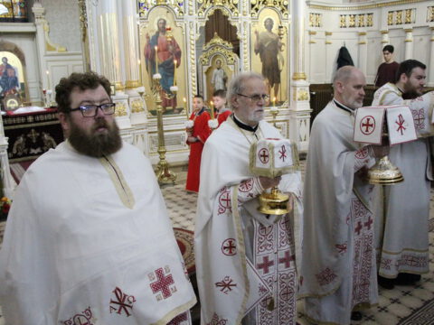 IMG_1811_resize_resize