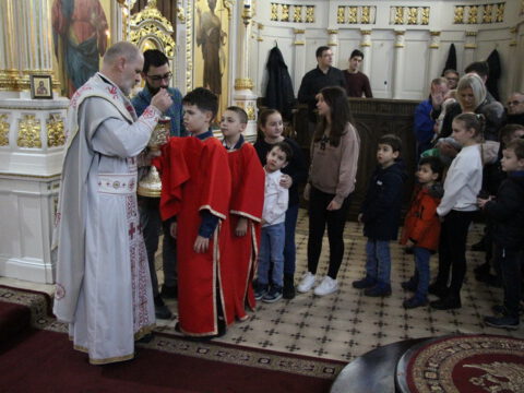 IMG_1829_resize_resize