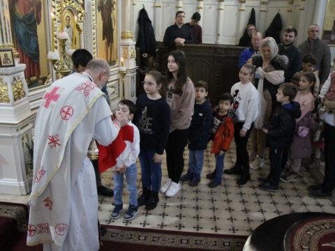 IMG_1831_resize_resize