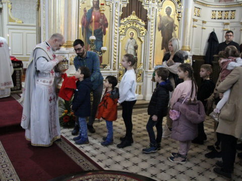 IMG_1832_resize_resize